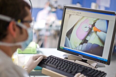 Study & Career Options in Life Sciences | British Council